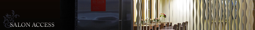 SALON�@ACCESS